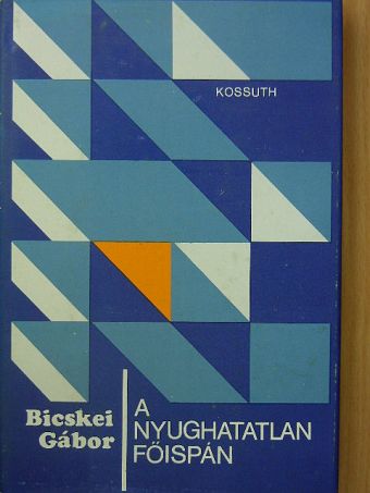 Bicskei Gábor - A nyughatatlan főispán [antikvár]
