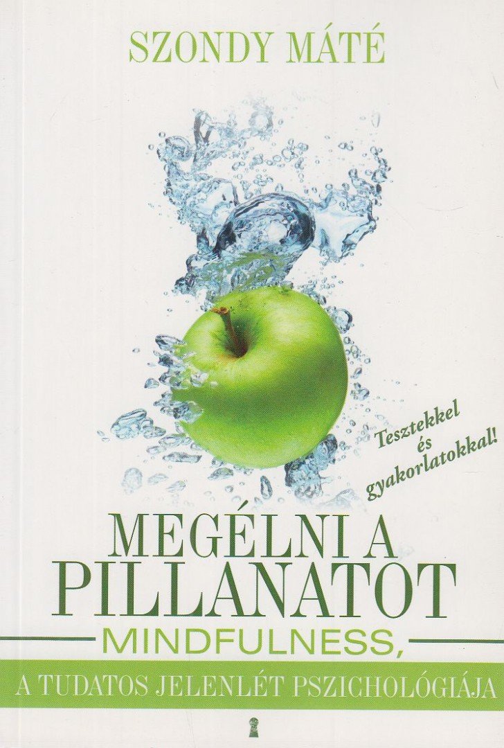 Szondy Máté - Megélni a pillanatot [antikvár]