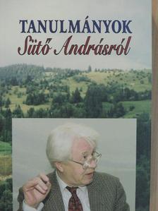 Ablonczy László - Tanulmányok Sütő Andrásról [antikvár]