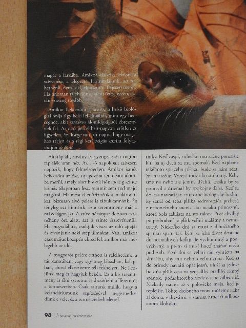 A barátság hullámhosszán [antikvár]