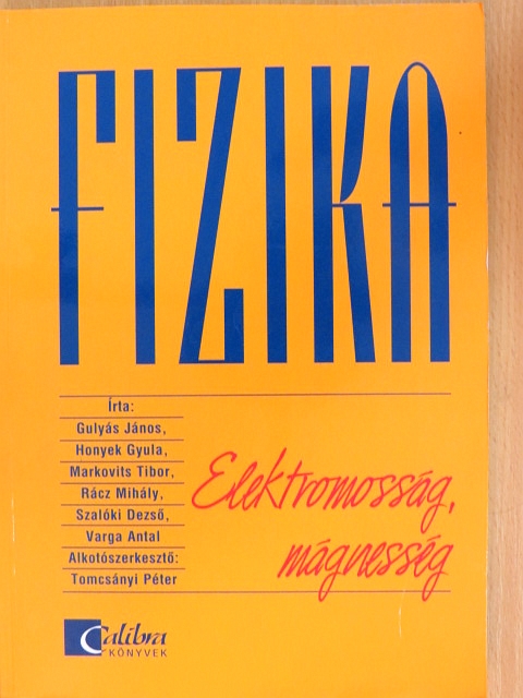 Gulyás János - Fizika - Elektromosság, mágnesség [antikvár]