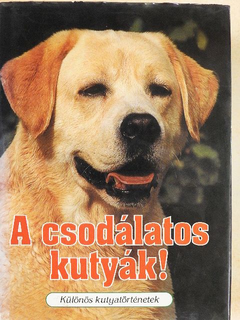 Ady Endre - A csodálatos kutyák! [antikvár]