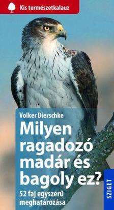 Volker Dierschke - Milyen ragadozó madár és milyen bagoly ez?