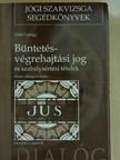 Vókó György - Büntetés-végrehajtási jog és szabálysértési tételek [antikvár]