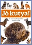 TKK - Jó kutya