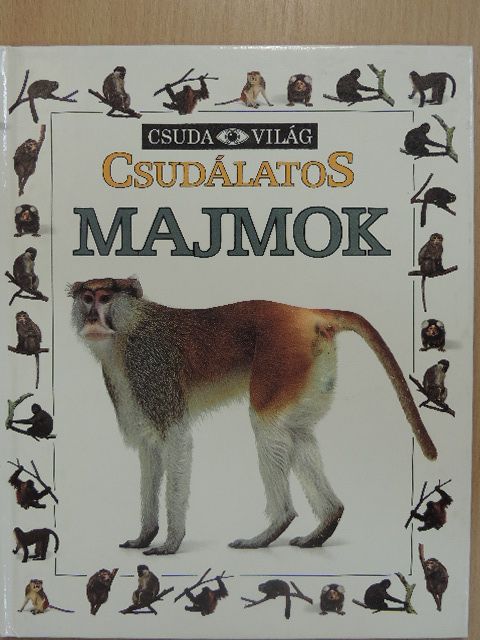 Scott Steedman - Csudálatos majmok [antikvár]
