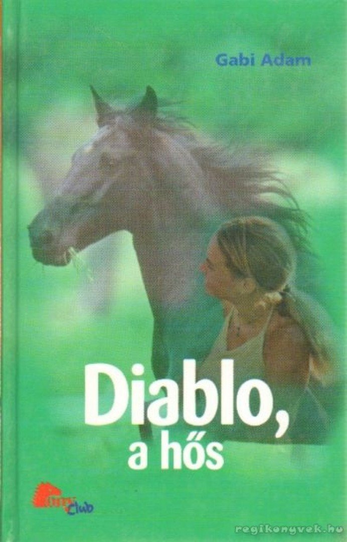 Diablo, a hős [antikvár]