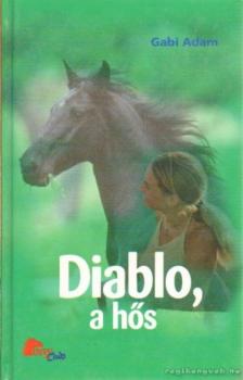 Diablo, a hős [antikvár]