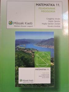 Dr. Czeglédy István - Matematika 11. tankönyv feladatainak megoldása [antikvár]