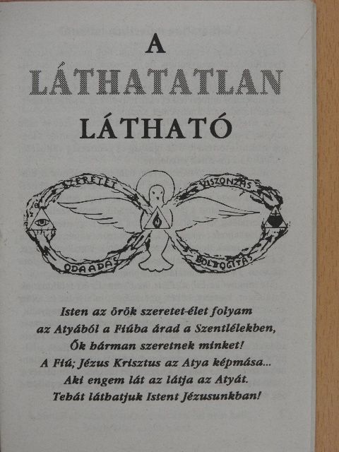 A láthatatlan látható [antikvár]