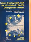 Georg Fischer - Labor, Employment, and Social Policies in the EU Enlargement Process [antikvár]