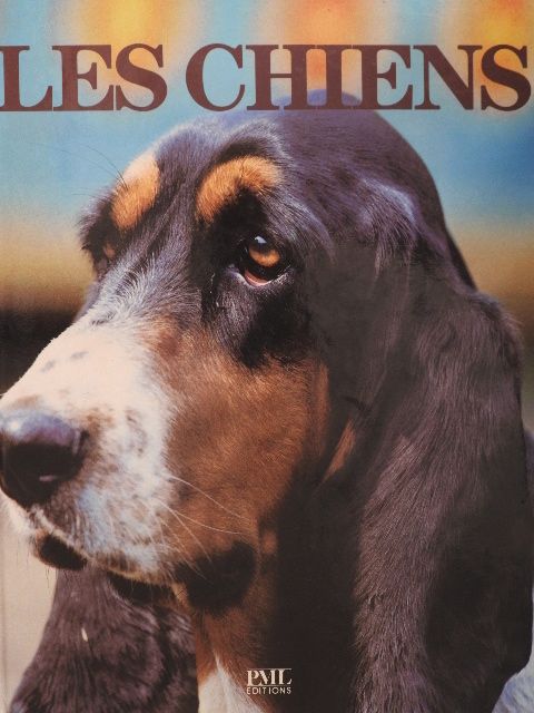 Angela Sayer - Les Chiens [antikvár]