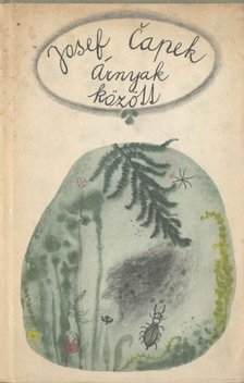 Karel Capek - Árnyak között [antikvár]