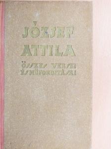József Attila - József Attila összes versei és műfordításai [antikvár]