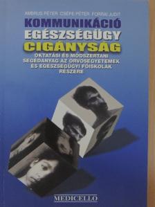 Ambrus Péter - Kommunikáció, egészségügy, cigányság I.  [antikvár]