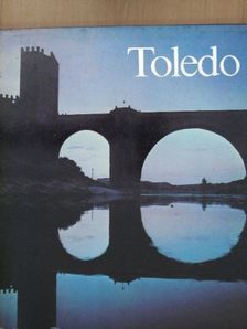 Nyerges Éva - Toledo [antikvár]