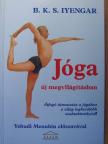 B. K. S. Iyengar - Jóga új megvilágításban [antikvár]