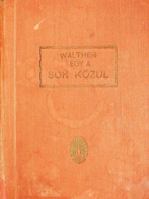 Walther Victor - Egy a sok közül [antikvár]