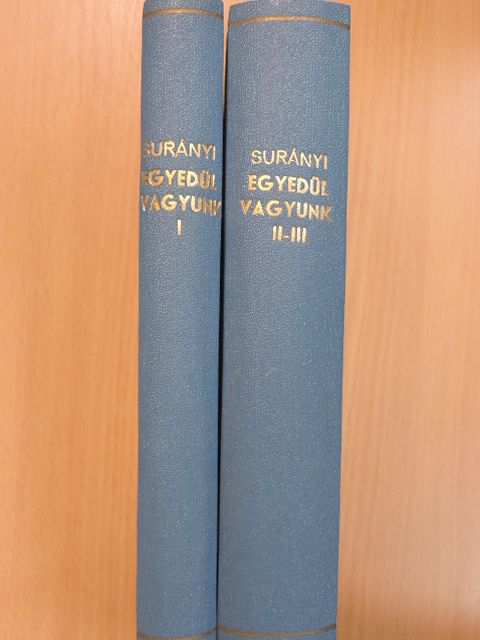 Surányi Miklós - Egyedül vagyunk I-III. [antikvár]