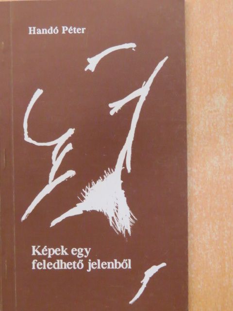 Handó Péter - Képek egy feledhető jelenből [antikvár]