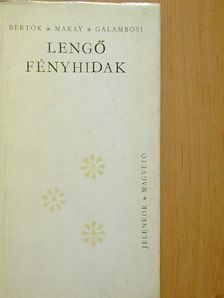 Bertók László - Lengő fényhidak [antikvár]