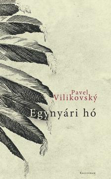 Pavel Vilikovsky - Egynyári hó