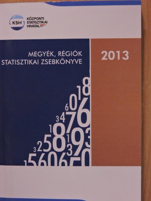 Megyék, régiók statisztikai zsebkönyve 2013 [antikvár]
