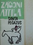 Zágoni Attila - Sánta pegazus [antikvár]
