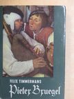 Felix Timmermans - Pieter Bruegel  [antikvár]