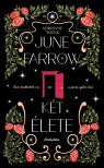 Adrienne Young - June Farrow két élete [eKönyv: epub, mobi]
