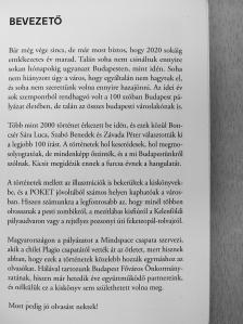 Kránicz Dorottya - 100 szóban Budapest [antikvár]