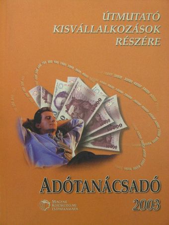 Csákiné Fodor Anna - Adótanácsadó 2003 [antikvár]