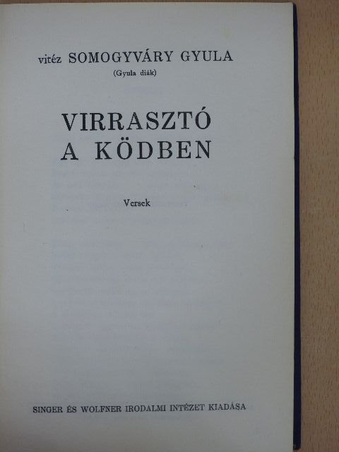 Vitéz Somogyvári Gyula - Virrasztó a ködben [antikvár]