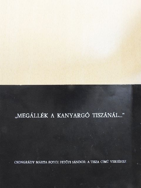 Lenkey István - "Megállék a kanyargó Tiszánál---" [antikvár]