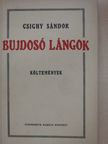 Csighy Sándor - Bujdosó lángok [antikvár]