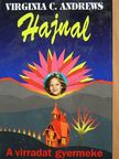 Virginia C. Andrews - Hajnal [antikvár]