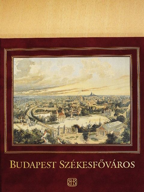 Dr. Buzinkay Géza - Budapest székesfőváros [antikvár]