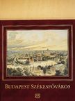 Dr. Buzinkay Géza - Budapest székesfőváros [antikvár]