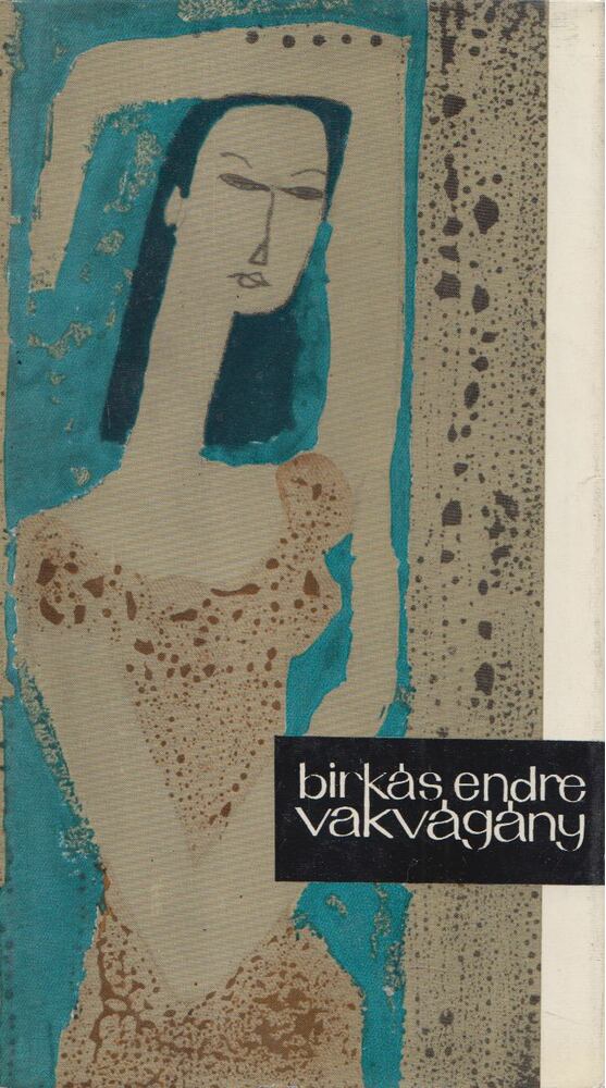 Birkás Endre - Vakvágány [antikvár]