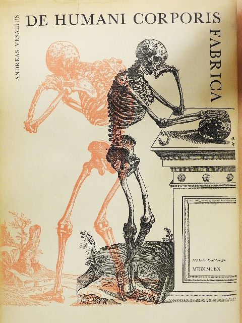 Andreas Vesalius - De humani corporis fabrica [antikvár]