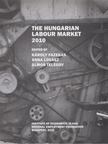 Károly Fazekas (ed.), Anna Lovász (ed.), Álmos Telegdy (ed.) - The Hungarian Labour Market 2010 [antikvár]