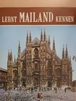 Renzo Chiarelli - Lernt Mailand kennen [antikvár]