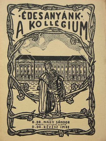 D. Dr. Nagy Sándor - Édesanyánk, a kollégium [antikvár]