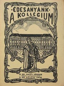D. Dr. Nagy Sándor - Édesanyánk, a kollégium [antikvár]