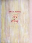 Zsigray Julianna - Két világ [antikvár]