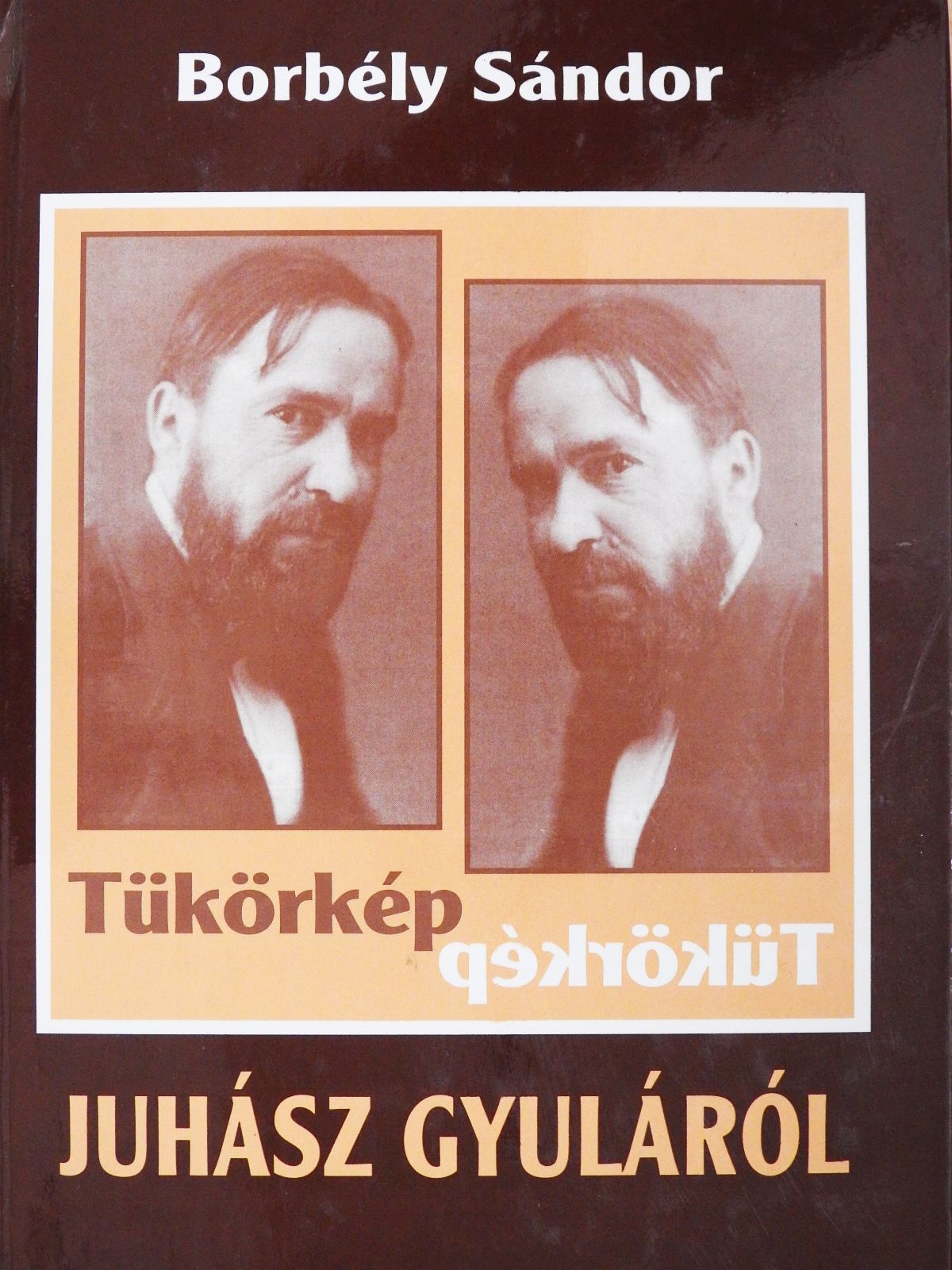 Borbély Sándor - Tükörkép Juhász Gyuláról (dedikált példány) [antikvár]