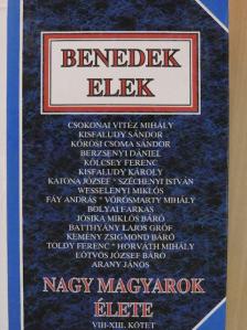 Benedek Elek - Nagy magyarok élete II. [antikvár]