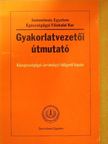 Dr. Durst János - Gyakorlatvezetői útmutató [antikvár]
