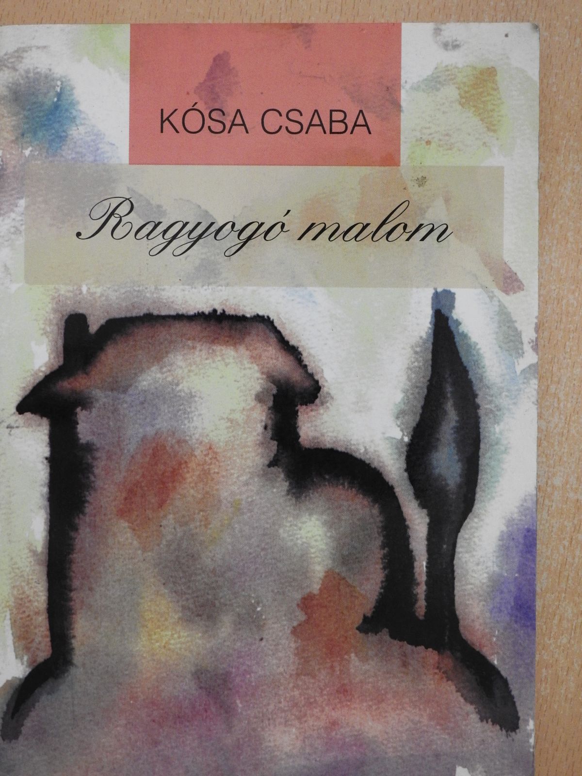 Kósa Csaba - Ragyogó malom (dedikált példány) [antikvár]