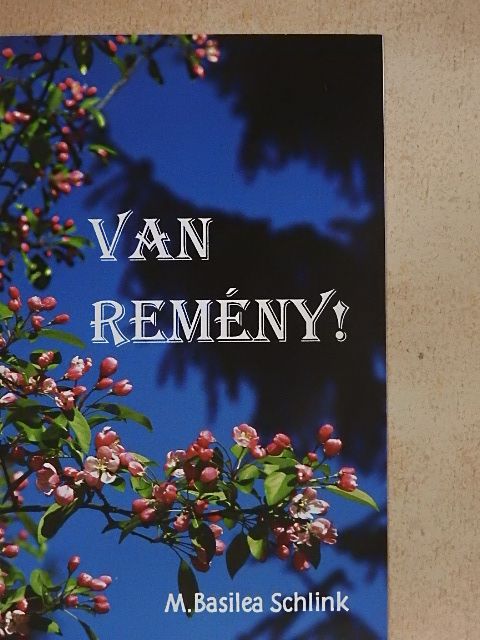 M. Basilea Schlink - Van remény! [antikvár]